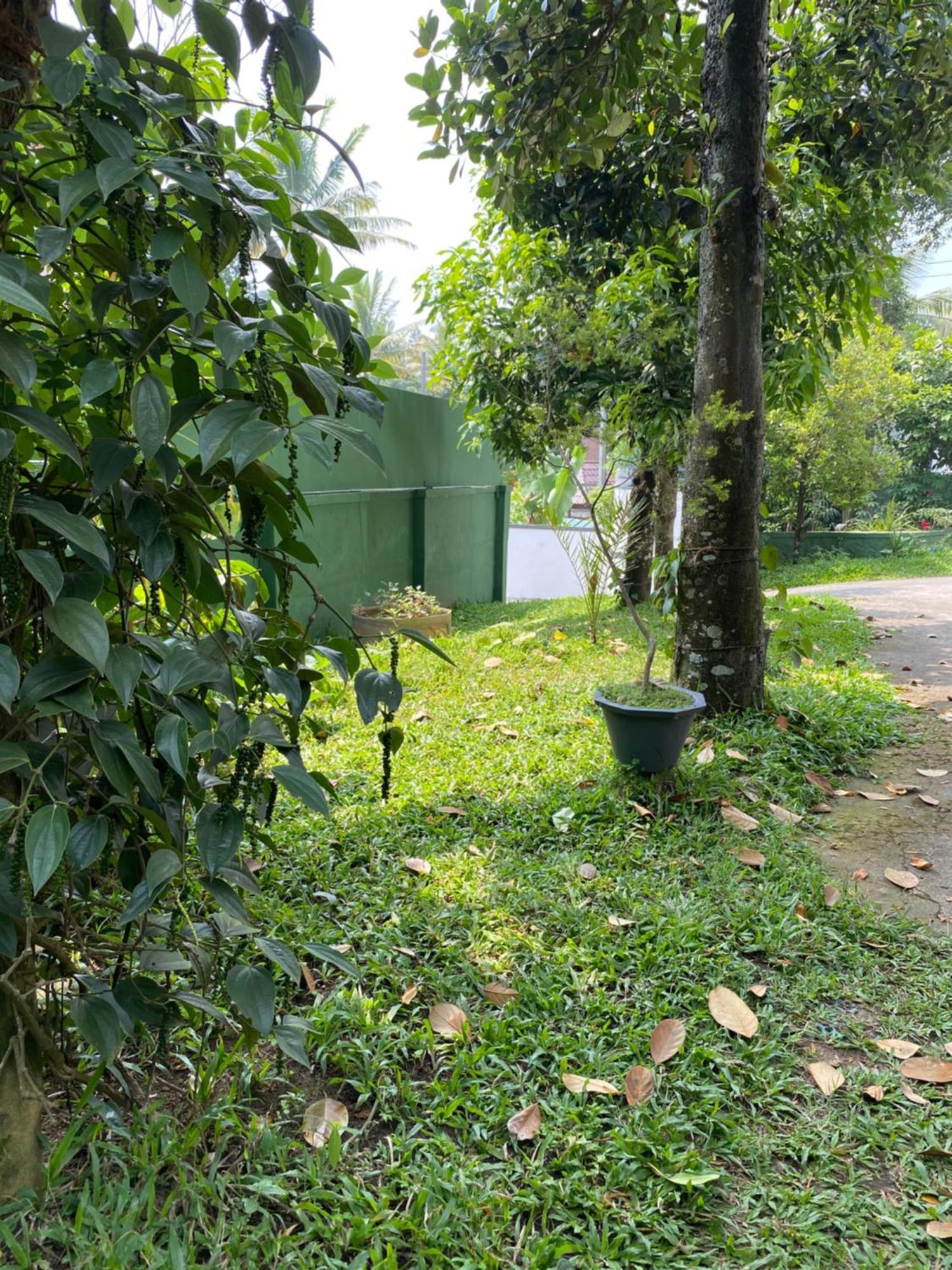 Tranquilou Homestay Thekkady Exterior photo